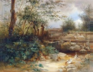 Wehre In Der Hinterbruhl