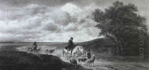 Schafherde Auf Der Landstrasse - view 1
