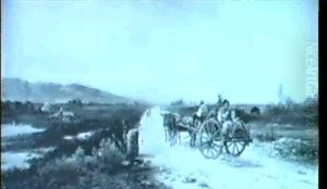 Eselkarren In Der Campagna