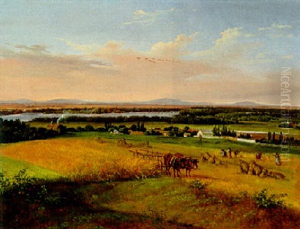 Die Donauauen Bei Schwechat - view 1