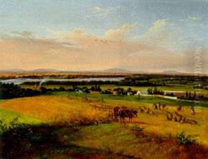 Die Donauauen Bei Schwechat