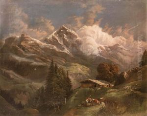 Belebte Hochalm Mit Blick Auf Alpengipfel - Grosglockner