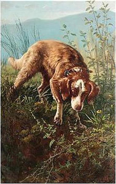 Dog In Briars - view 1