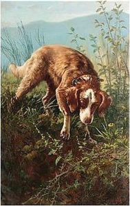 Dog In Briars by Carlo Ademollo