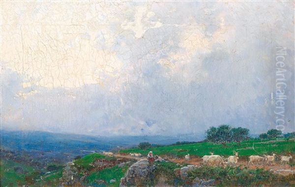 Italian Herders With Goats In An Open Landscape - view 1
