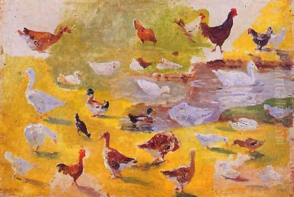 Estudio De Aves - view 1