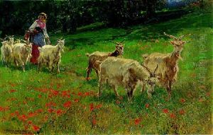 In The Poppy Field by Mariano Barbasan Lagueruela