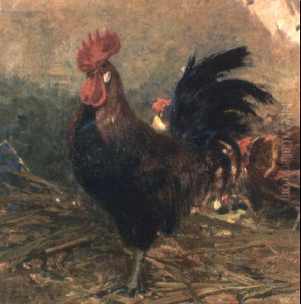 El Gallo De Moron - view 1