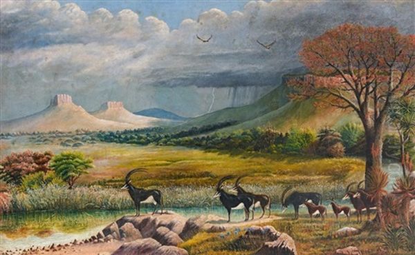 South African Wildlife, Three - view 1