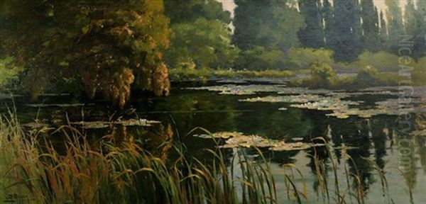 Petit Etang De Monjeu, Saone Et Loire - view 1