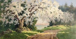 Vue Du Parc De La Tete D'or Au Printemps