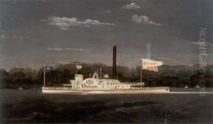 Paddle Towboat "oswego"