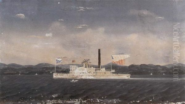 Sidewheel Towboat "anna" - view 1