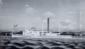 The Steamboat "cayuga" by James Bard