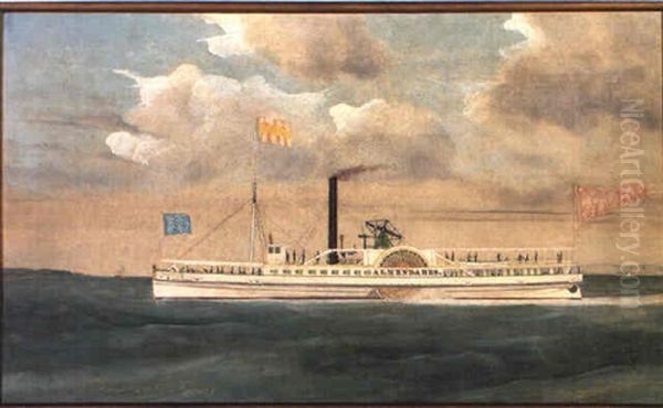 Steamboat 'almendares' - view 1