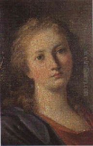 Ritratto Di Giovinetto by Pietro Bardellino