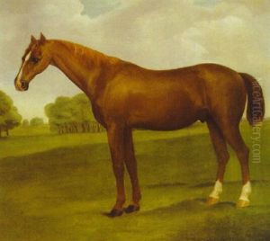 A Chestnut Racehorse In An Extensive Landscape by Thomas Bardwell