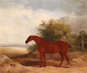 Rennpferd Auf Der Koppel by James Barenger the Elder
