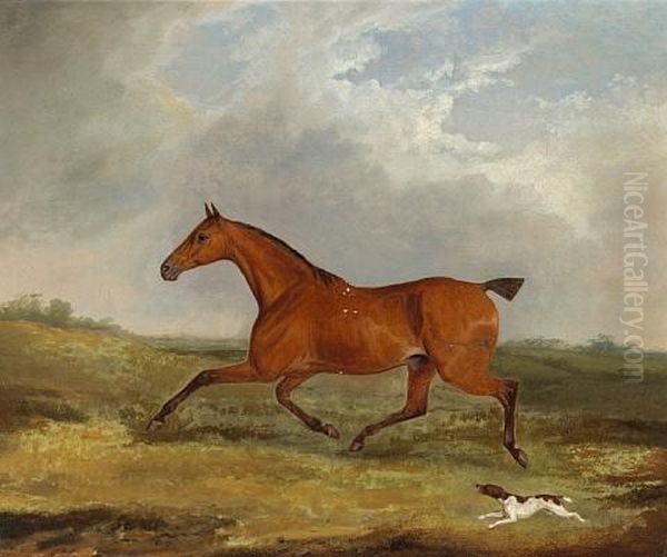 A Bay Hunter With A Terrier In A Landscape - view 1