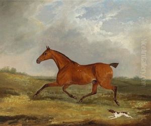 A Bay Hunter With A Terrier In A Landscape