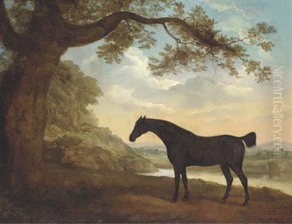 "nabob" In A Landscape - view 1