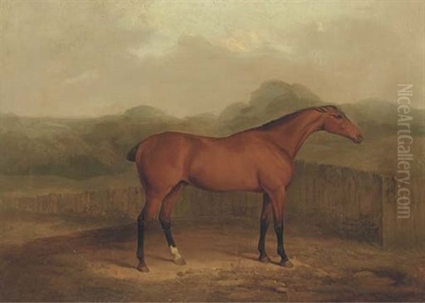 A Chestnut Racehorse In A Landscape - view 1