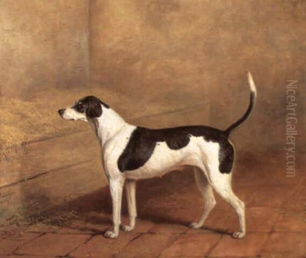 The Hound 'nosegay' In A Stable - view 1