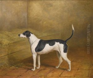 Nosegay, A Hound Bitch In A Kennel Nosegay, A Hound Bitch In A Kennel