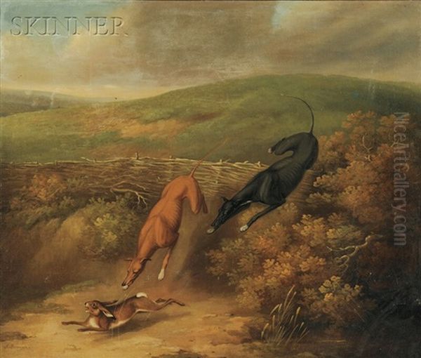 Greyhounds In The Hunt For A Rabbit - view 1