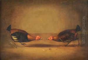Cock Fighting by James Barenger the Younger