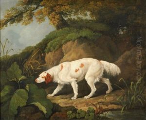 Irish Setter In A Wooded Landscape