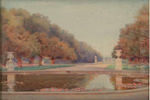 Bassin Aux Nenuphars Dans Un Parc