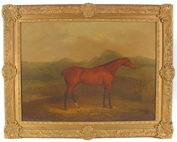 Race Horse Standing Before A Fence - view 1