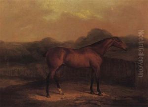 Race Horse Standing Before A Fence