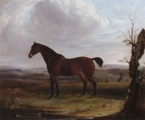 A Bay Hunter In An Extensive Landscape by James Barenger the Younger