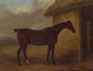 A Hunter By A Stable A Hunter By A Stable