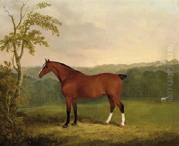 A Baby Carriage Horse, The Property Of E. Fuller-maitland, Esq., M.p. - view 1