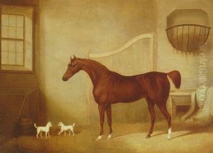 A Chestnut Horse And Two Terriers In A Stable by James Barenger the Younger