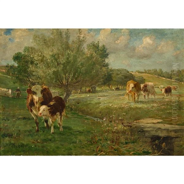 Weidende Kuhherde - view 1
