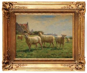 Moutons Aux Paturages