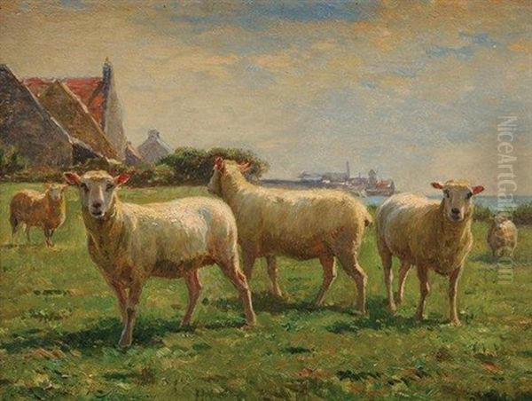 Moutons Aux Paturages - view 1