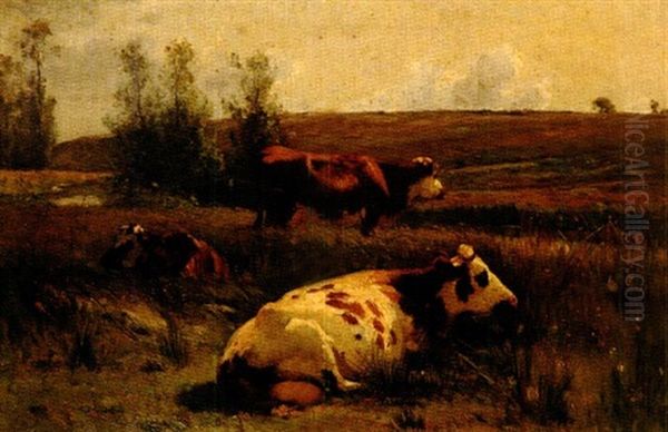 Vaches - view 1