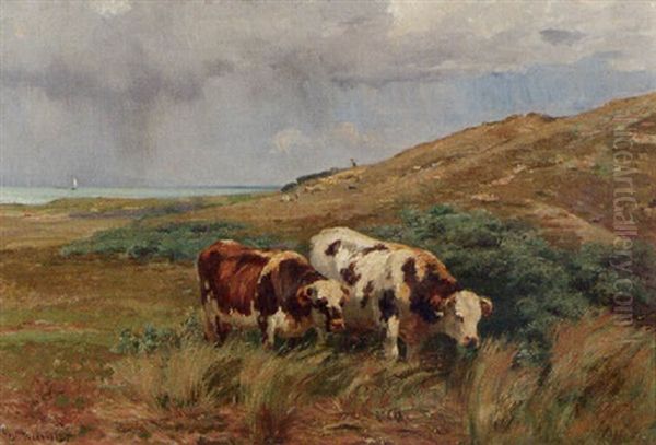 Kuhe In Dunenlandschaft - view 1