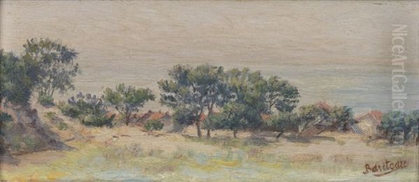 Paysage De Bord De Mer - view 1