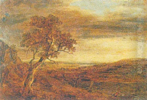 Windy Landscape - view 1