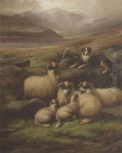 Sheep In A Landscape by John Barker