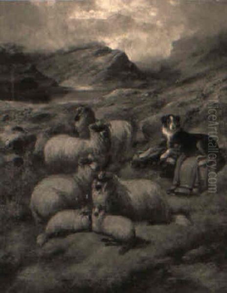 Watching The Flock - view 1