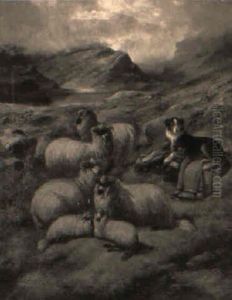 Watching The Flock by John Barker