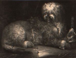 Portrait Of A Spaniel by John Barker