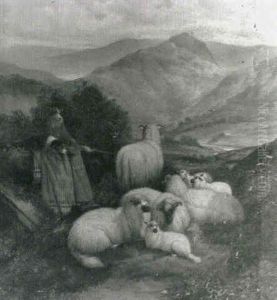 Sheep And Sheepdogs In A Highland Landscape by John Barker